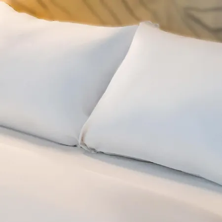 이비스 호텔 모뵈주